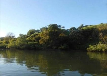 Isla en Boca Brava