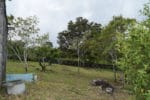 Montana Verde Land in Boquete
