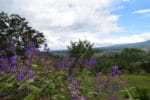 Montana Verde Land in Boquete