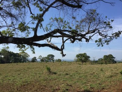 Gualaca Land