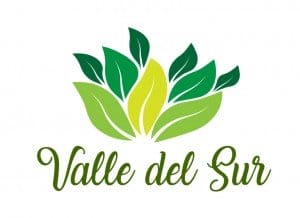 Logo Valle del Sur