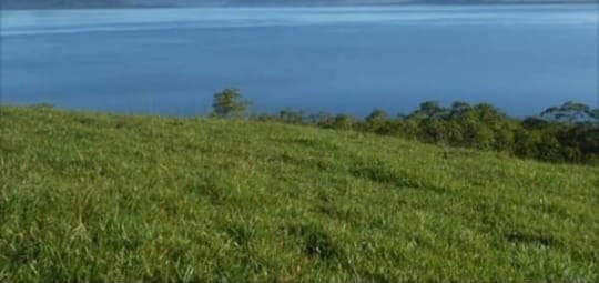 Isla en Boca Brava